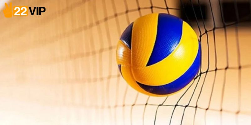 Tìm hiểu dịch vụ cá cược bóng chuyền