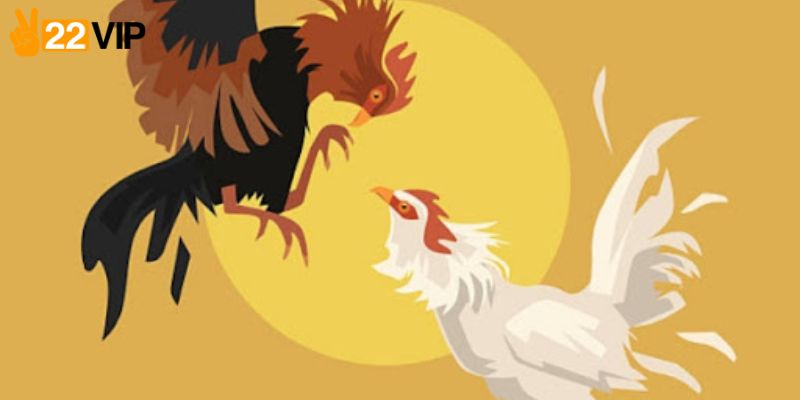 Ưu điểm của dịch vụ