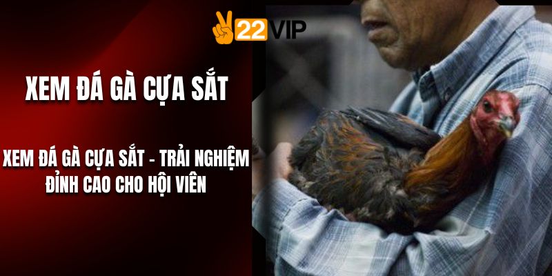 Xem Đá Gà Cựa Sắt – Trải Nghiệm Đỉnh Cao Cho Hội Viên